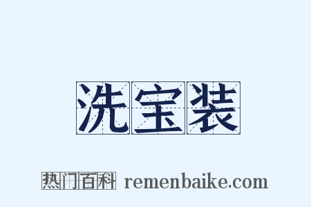 洗宝装是什么意思的图片